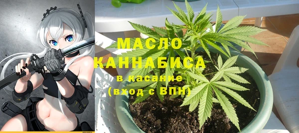 меф Вяземский